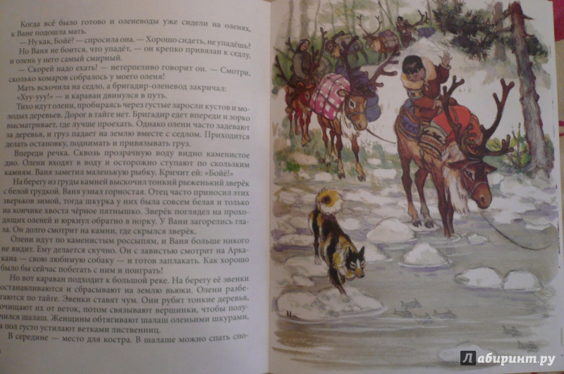 Иллюстрация 6 из 63 для Бойё - Евгений Фрейберг | Лабиринт - книги. Источник: Климкова  Светлана
