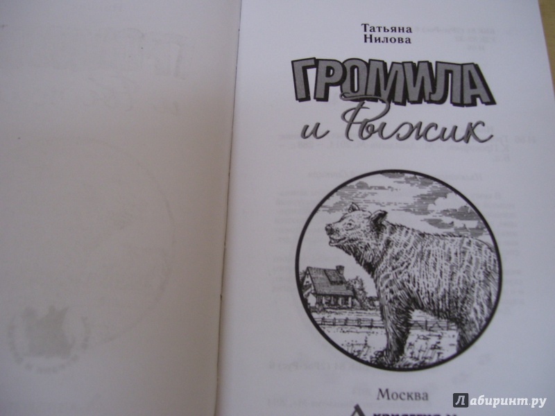 Иллюстрация 3 из 10 для Громила и Рыжик - Татьяна Нилова | Лабиринт - книги. Источник: КошкаПолосатая