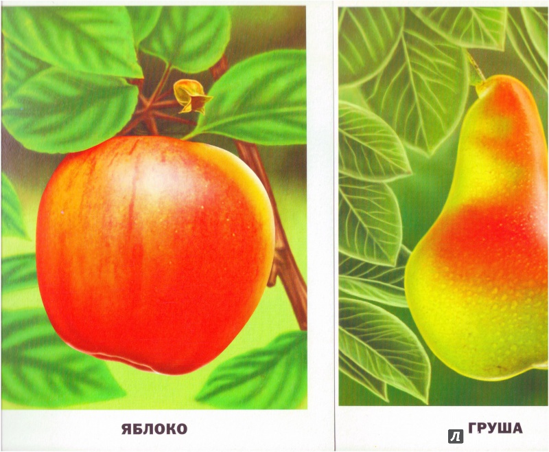 Иллюстрация 7 из 30 для Обучающие карточки. Овощи и фрукты | Лабиринт - игрушки. Источник: Халтурина  Оксана
