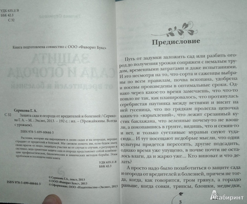 Иллюстрация 4 из 6 для Защита сада и огорода от вредителей и болезней - Галина Серикова | Лабиринт - книги. Источник: Леонид Сергеев