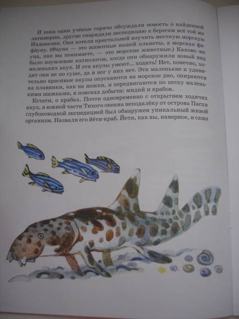Иллюстрация 20 из 25 для Невиданные зверушки - Ольга Велейко | Лабиринт - книги. Источник: Осьминожка