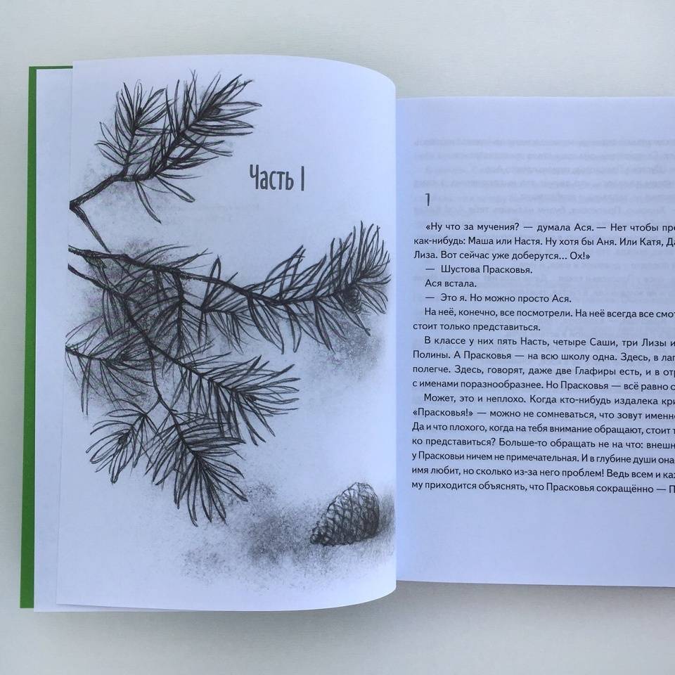 Иллюстрация 21 из 59 для Асино лето - Тамара Михеева | Лабиринт - книги. Источник: Лабиринт