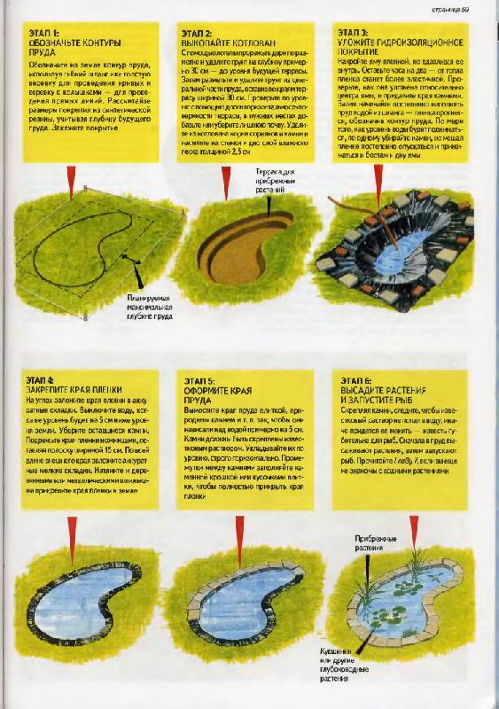 Иллюстрация 15 из 30 для Все об альпинарии и водоеме в саду - Дэвид Хессайон | Лабиринт - книги. Источник: Спанч Боб