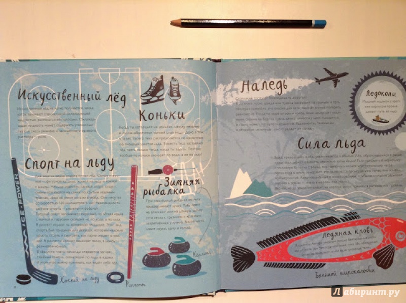 Иллюстрация 7 из 22 для Горячие факты про лёд - Лена Шёберг | Лабиринт - книги. Источник: Чабуткина  Алина