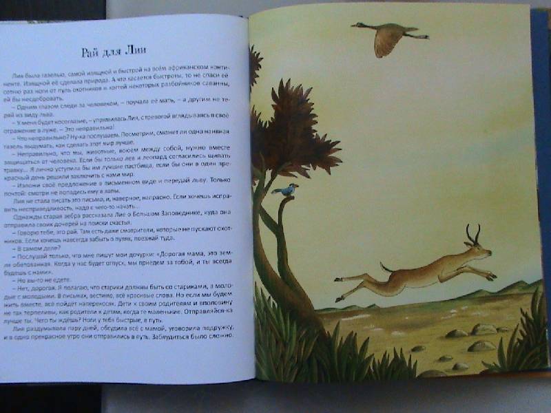 Иллюстрация 20 из 34 для Зоопарк историй - Родари, Теста | Лабиринт - книги. Источник: Обычная москвичка