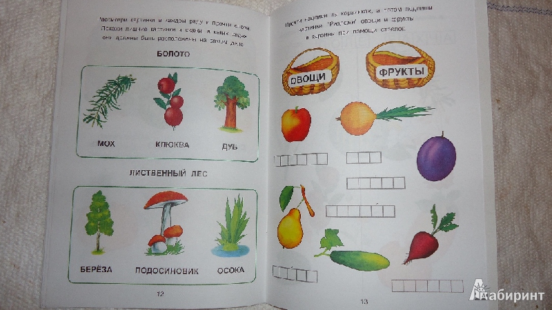 Иллюстрация 6 из 14 для В мире растений - О. Захарова | Лабиринт - книги. Источник: Сказочная фея