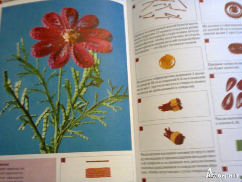 Иллюстрация 14 из 26 для Цветы в технике квиллинг - Клавдия Моргунова | Лабиринт - книги. Источник: G