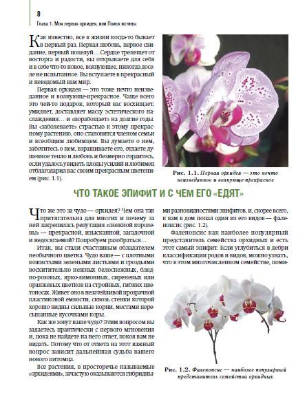 Иллюстрация 3 из 5 для Орхидеи: выбираем, ухаживаем, наслаждаемся - Лариса Петровская | Лабиринт - книги. Источник: Золотая рыбка