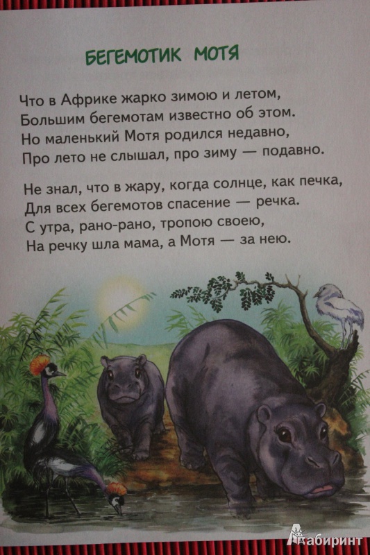 Иллюстрация 7 из 18 для Слонёнок Санни - Владимир Борисов | Лабиринт - книги. Источник: Глушко  Александр