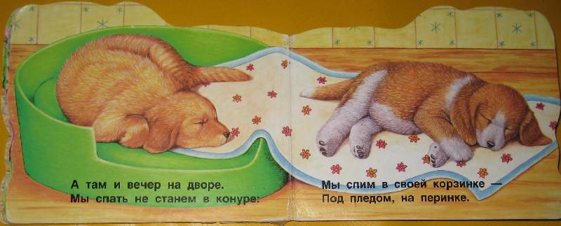 Иллюстрация 11 из 15 для Щенок. Веселые зверята - Екатерина Карганова | Лабиринт - книги. Источник: ТОЧКА