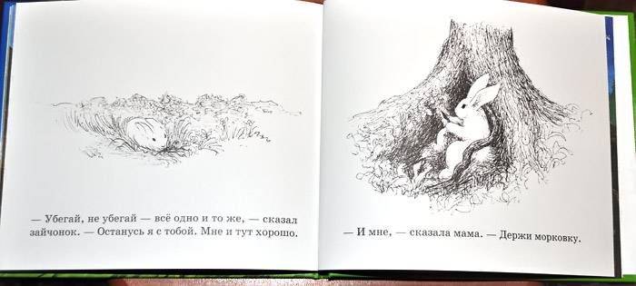 Иллюстрация 30 из 46 для Как зайчонок убегал - Уайз Браун | Лабиринт - книги. Источник: Солненые зайцы
