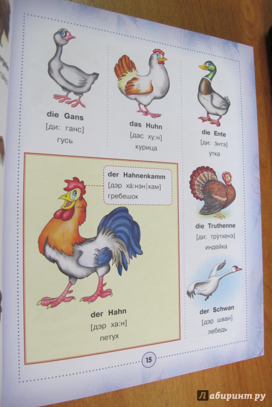 Иллюстрация 11 из 11 для Немецко-русский визуальный словарь для детей | Лабиринт - книги. Источник: Hitopadesa