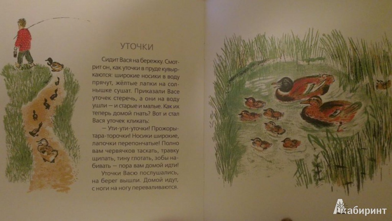 Иллюстрация 5 из 29 для Бишка - Константин Ушинский | Лабиринт - книги. Источник: Katty