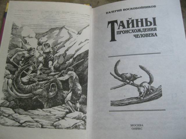 Иллюстрация 6 из 12 для Тайны происхождения человека - Валерий Воскобойников | Лабиринт - книги. Источник: NINANI