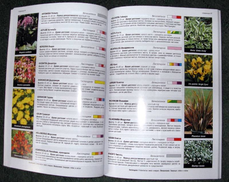 Иллюстрация 3 из 34 для Все о контейнерных растениях - Дэвид Хессайон | Лабиринт - книги. Источник: Катерина