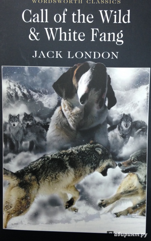 Иллюстрация 14 из 22 для The Call of the Wild and White Fang - Jack London | Лабиринт - книги. Источник: Tatiana Sheehan