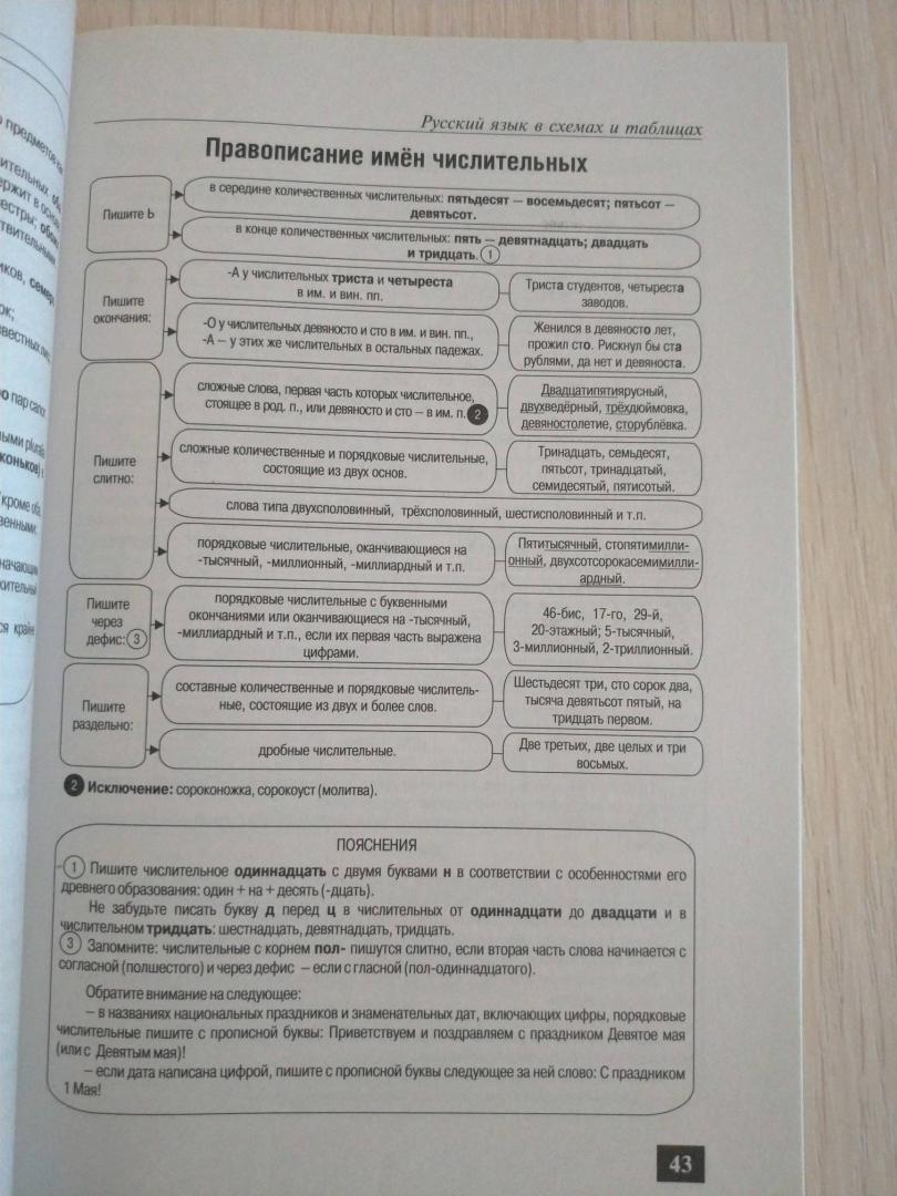 Иллюстрация 18 из 21 для Русский язык в схемах и таблицах - Борисов, Березина | Лабиринт - книги. Источник: Лабиринт