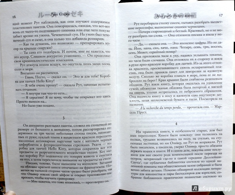 Иллюстрация 17 из 33 для Моя рыба будет жить - Рут Озеки | Лабиринт - книги. Источник: fionna_cake