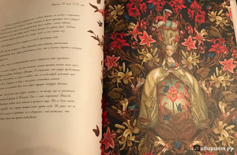 Иллюстрация 44 из 61 для Мария-Антуанетта. Тайный дневник королевы - Бенжамен Лакомб | Лабиринт - книги. Источник: Reeka