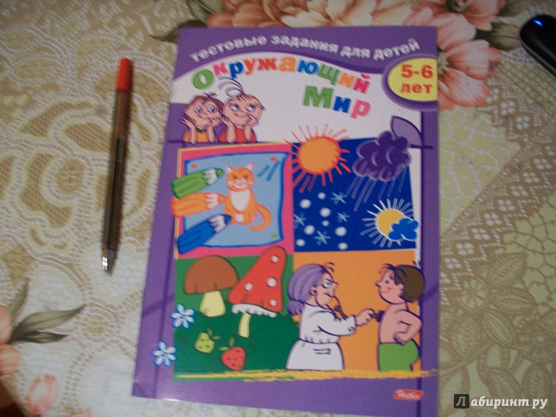 Иллюстрация 24 из 26 для Окружающий мир. Для детей 5-6 лет - И. Бушмелева | Лабиринт - книги. Источник: Надежда