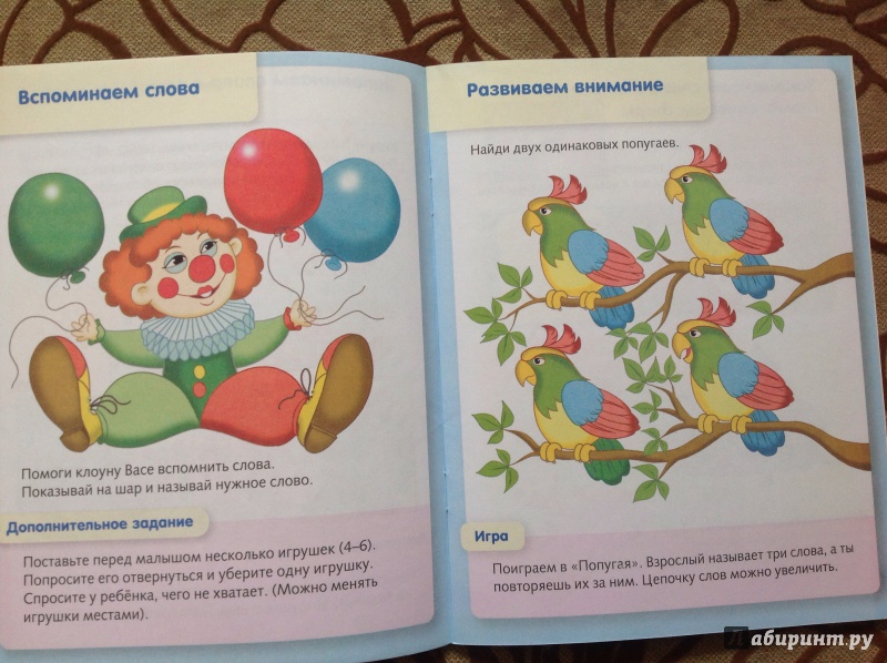 Иллюстрация 6 из 17 для Развитие внимания и памяти. Детям 3-4 лет - Марина Султанова | Лабиринт - книги. Источник: Кононова Мария