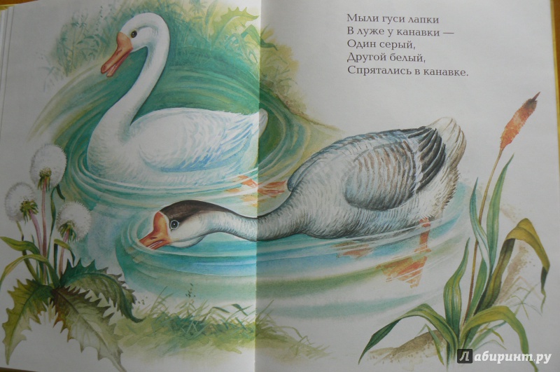 Иллюстрация 2 из 8 для Русские сказки | Лабиринт - книги. Источник: Марина