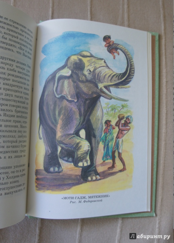 Иллюстрация 14 из 21 для Маугли - Редьярд Киплинг | Лабиринт - книги. Источник: Марфа Х.К.