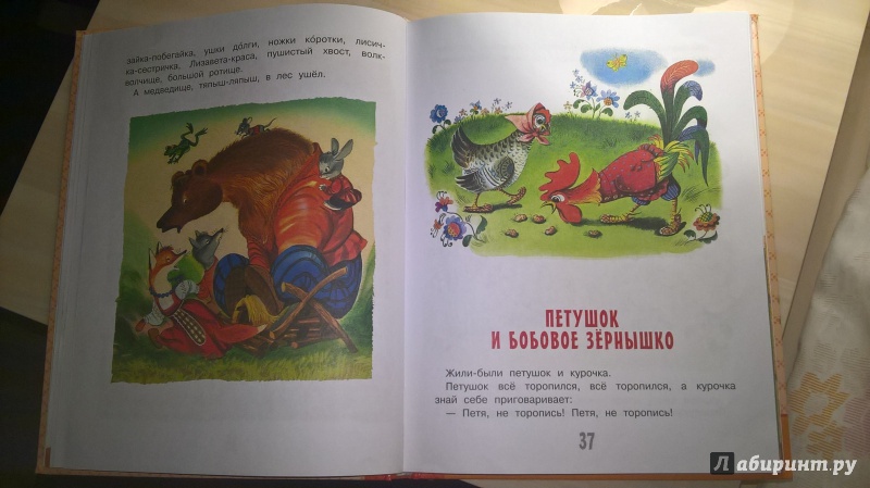 Иллюстрация 18 из 37 для Русские народные сказки | Лабиринт - книги. Источник: Мария А.