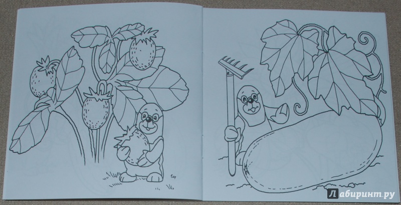 Иллюстрация 11 из 18 для Что растет на даче | Лабиринт - книги. Источник: Книжный кот