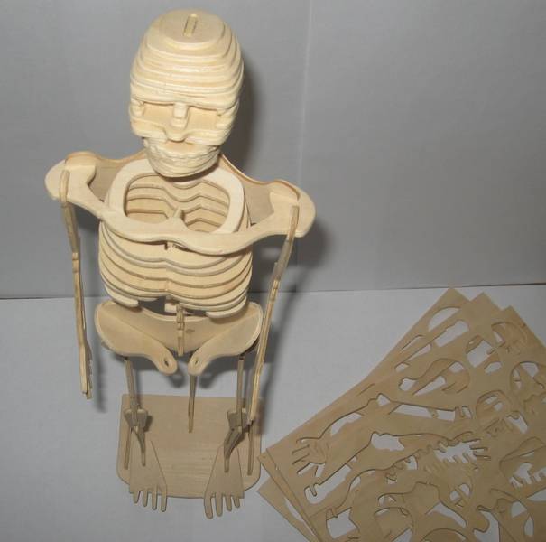 Иллюстрация 11 из 15 для Сборная деревянная модель Скелет человека | Лабиринт - игрушки. Источник: maks-russia