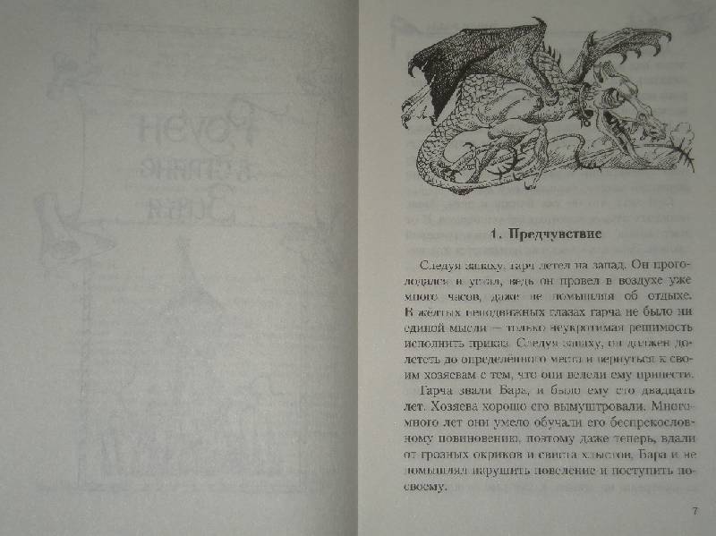 Иллюстрация 3 из 13 для Роуэн - ученик колдуньи - Эмили Родда | Лабиринт - книги. Источник: Мартынова  Анна Владимировна