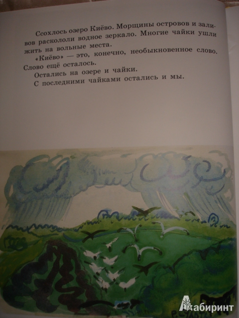 Иллюстрация 73 из 73 для Бабочки - Юрий Коваль | Лабиринт - книги. Источник: Осьминожка