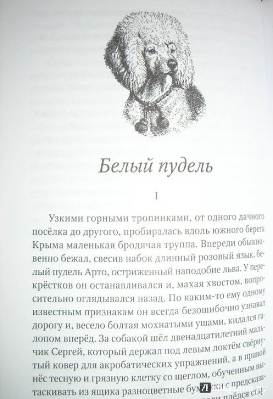 Иллюстрация 5 из 10 для Слон - Александр Куприн | Лабиринт - книги. Источник: very_nadegata