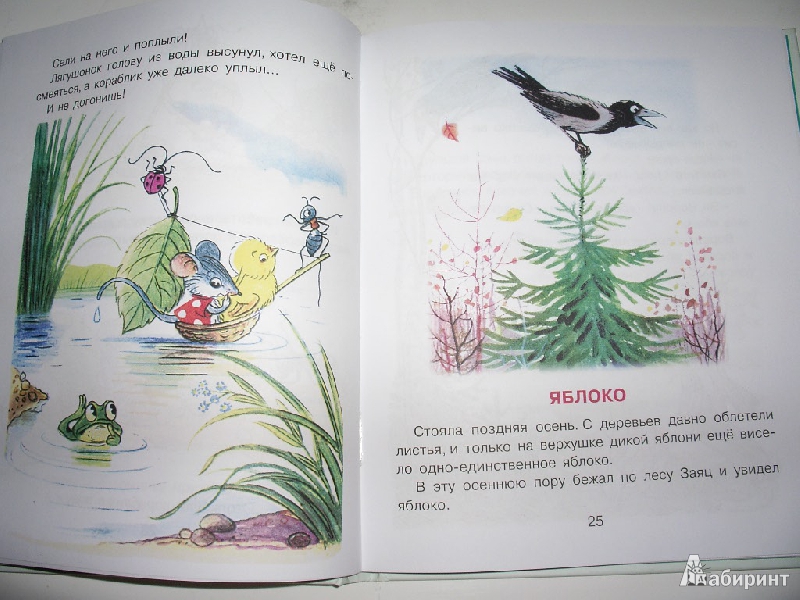 Иллюстрация 9 из 15 для Самые любимые сказки - Владимир Сутеев | Лабиринт - книги. Источник: Tiger.