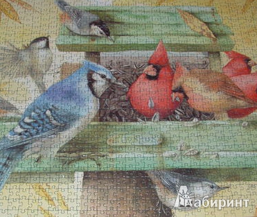Иллюстрация 2 из 2 для Puzzle-1000 "Птицы" Bastin (29203) | Лабиринт - игрушки. Источник: ЛиС-а