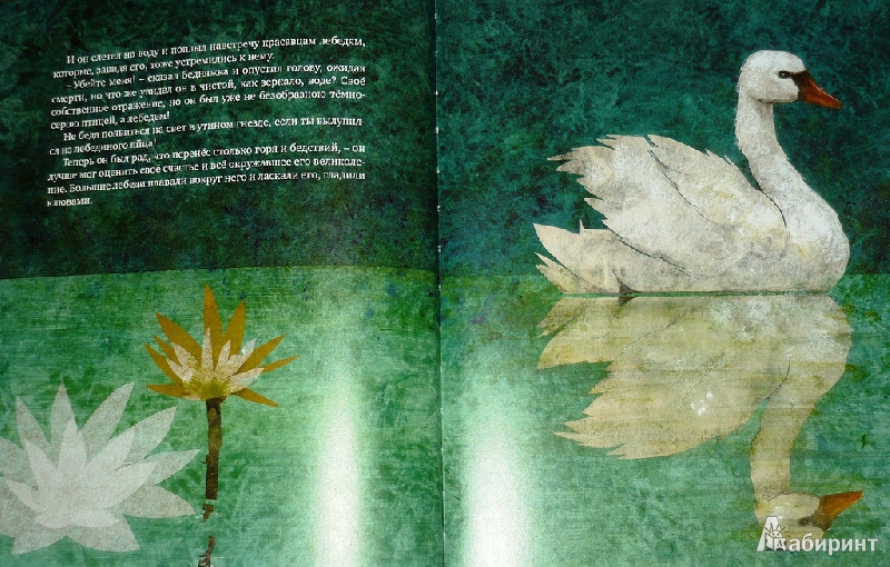 Иллюстрация 25 из 60 для Гадкий утенок - Ханс Андерсен | Лабиринт - книги. Источник: Ромашка:-)