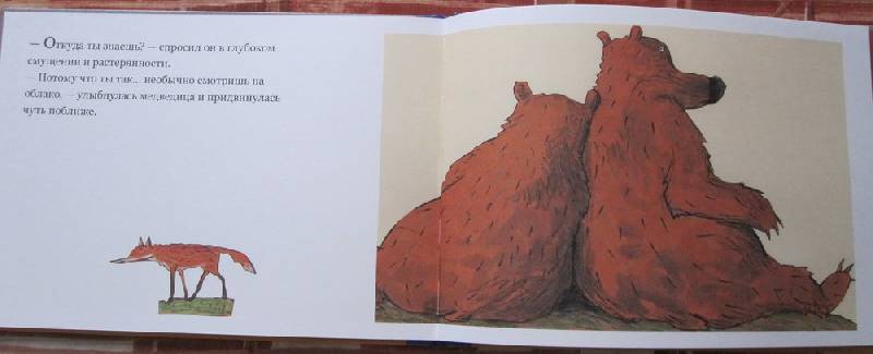 Иллюстрация 17 из 38 для Медвежье чудо - Вольф Эрльбрух | Лабиринт - книги. Источник: Leba