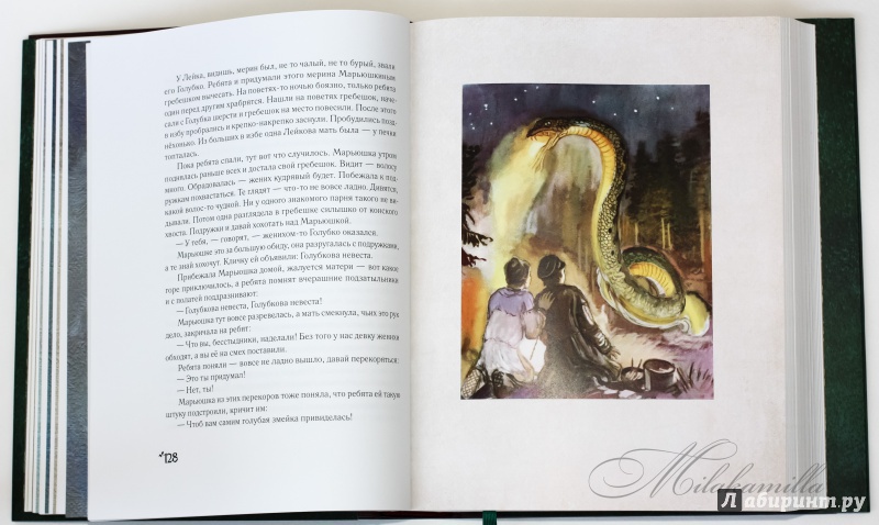 Иллюстрация 97 из 118 для Малахитовая шкатулка - Павел Бажов | Лабиринт - книги. Источник: Букландия