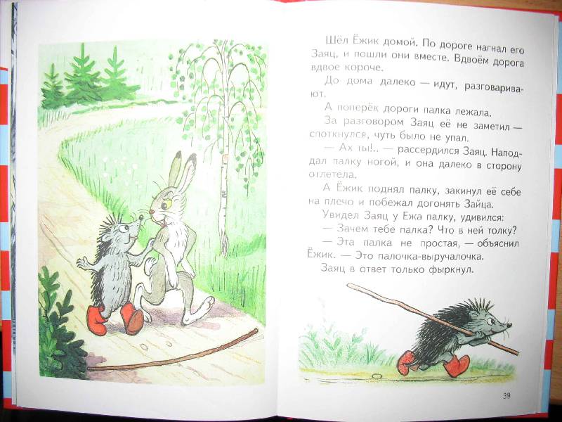 Рассказ про разговор. Рассказ про ежика и зайца. Рассказ разговор ежика и зайца. Сочинение разговор ежика и зайца. Рассказ еж и заяц.