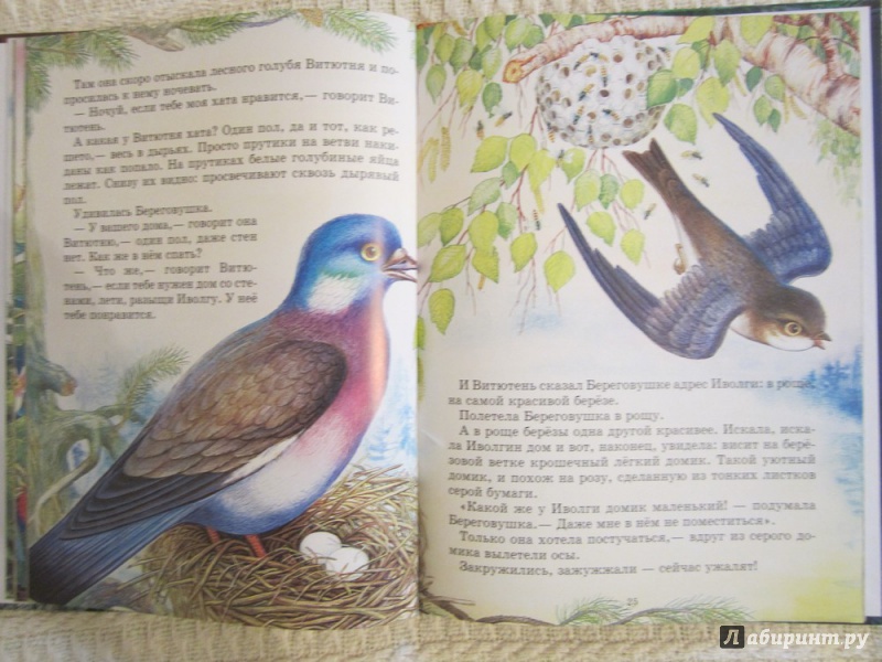 Иллюстрация 12 из 18 для Лесные домишки - Виталий Бианки | Лабиринт - книги. Источник: ЮлияО