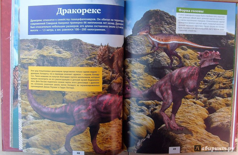 Иллюстрация 25 из 51 для Динозавры - Ликсо, Хомич, Филиппова | Лабиринт - книги. Источник: Соловьев  Владимир