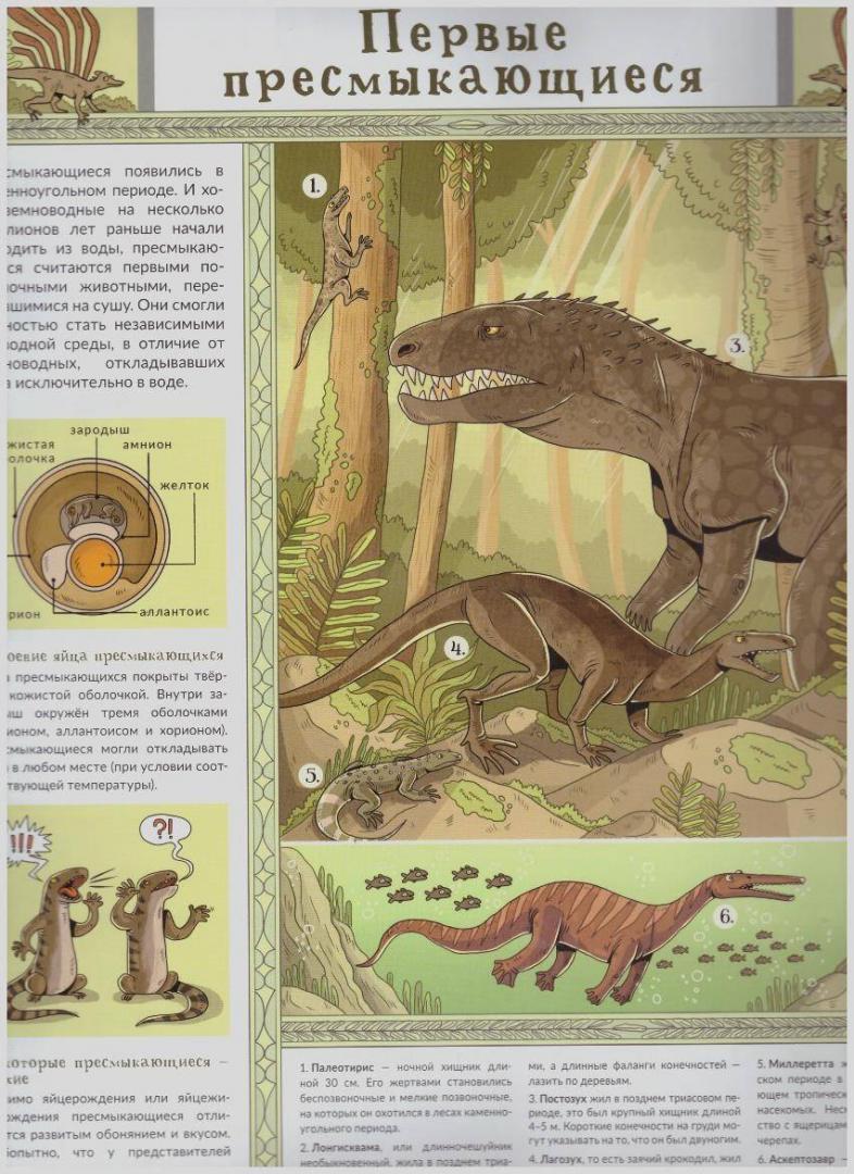Иллюстрация 32 из 112 для Атлас исчезнувших животных - Гладыш, Вайс, Лячек | Лабиринт - книги. Источник: LanaEr