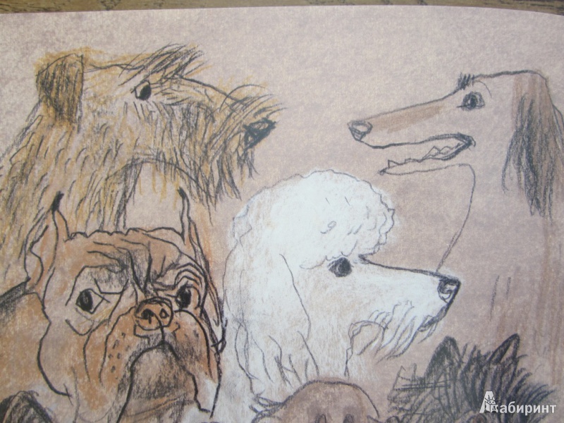 Иллюстрация 27 из 50 для Кот и пёс - Татьяна Макарова | Лабиринт - книги. Источник: ЮлияО