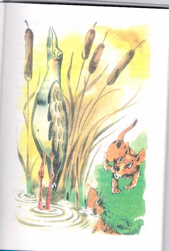 Иллюстрация 6 из 20 для Лесные домишки - Виталий Бианки | Лабиринт - книги. Источник: Стрекоза