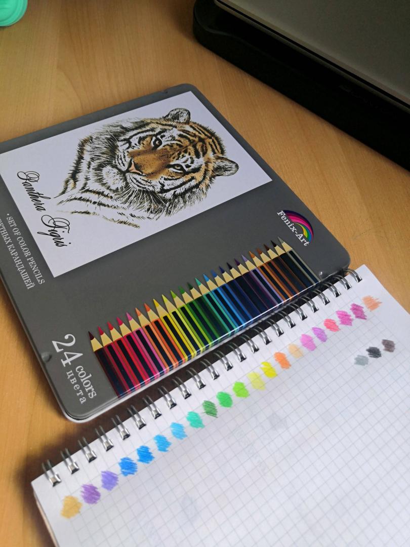 Иллюстрация 46 из 63 для Карандаши цветные "Тигр" (24 цвета, металлическая коробка) (32871) | Лабиринт - канцтовы. Источник: Вишневская Ксения