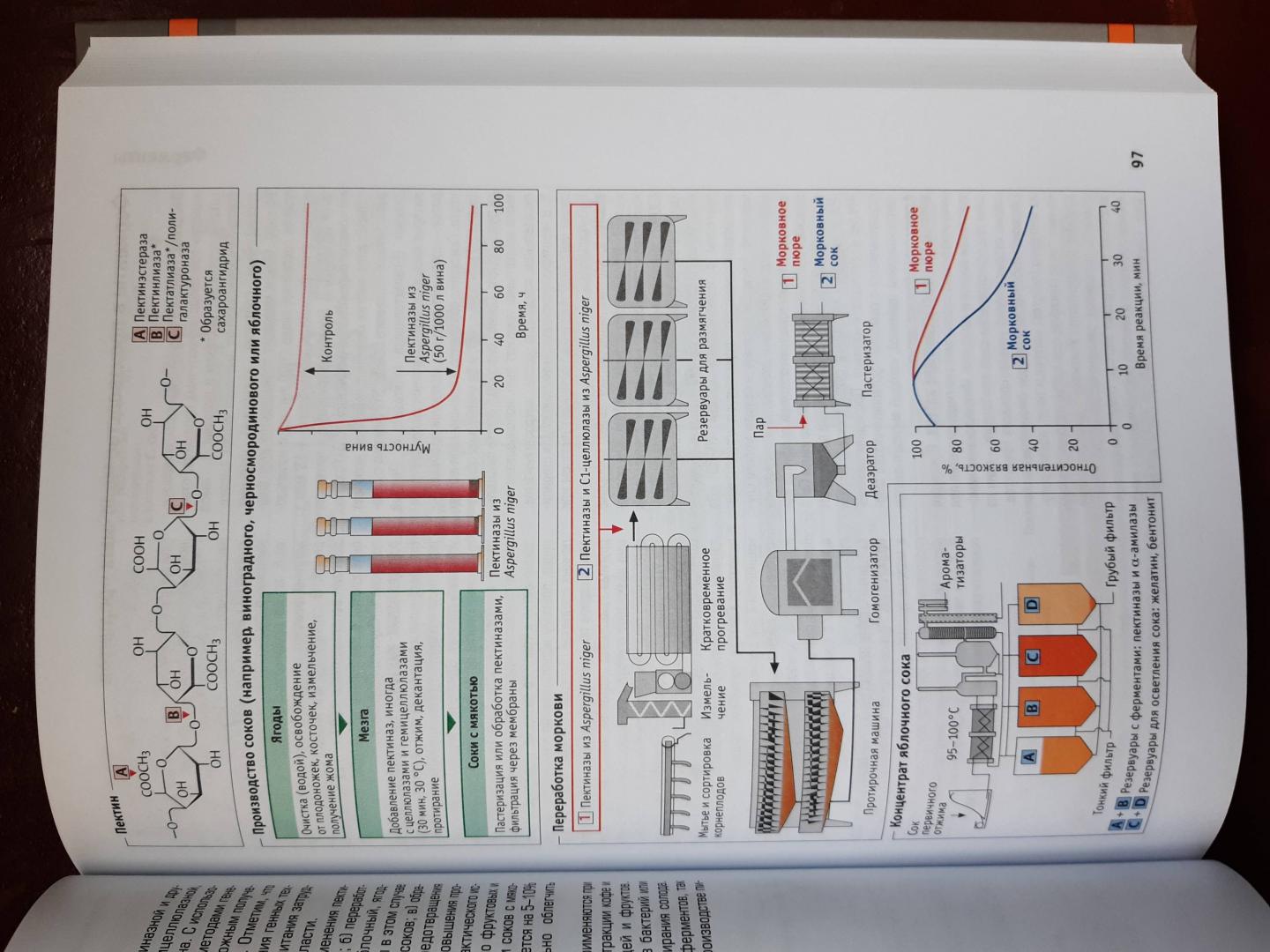Иллюстрация 13 из 17 для Наглядная биотехнология и генетическая инженерия - Рольф Шмид | Лабиринт - книги. Источник: Лабиринт