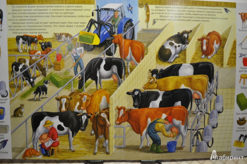 Иллюстрация 4 из 48 для На ферме | Лабиринт - книги. Источник: Слюсарева  Мария Викторовна