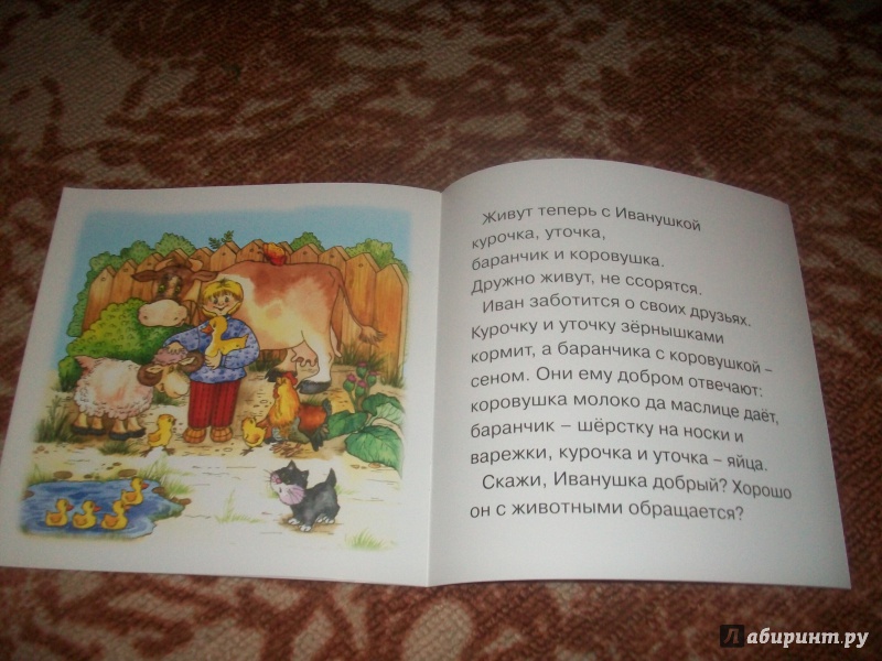 Иллюстрация 16 из 36 для Где ты был, Иванушка? Для детей от 1-го года - Сергей Савушкин | Лабиринт - книги. Источник: Надежда