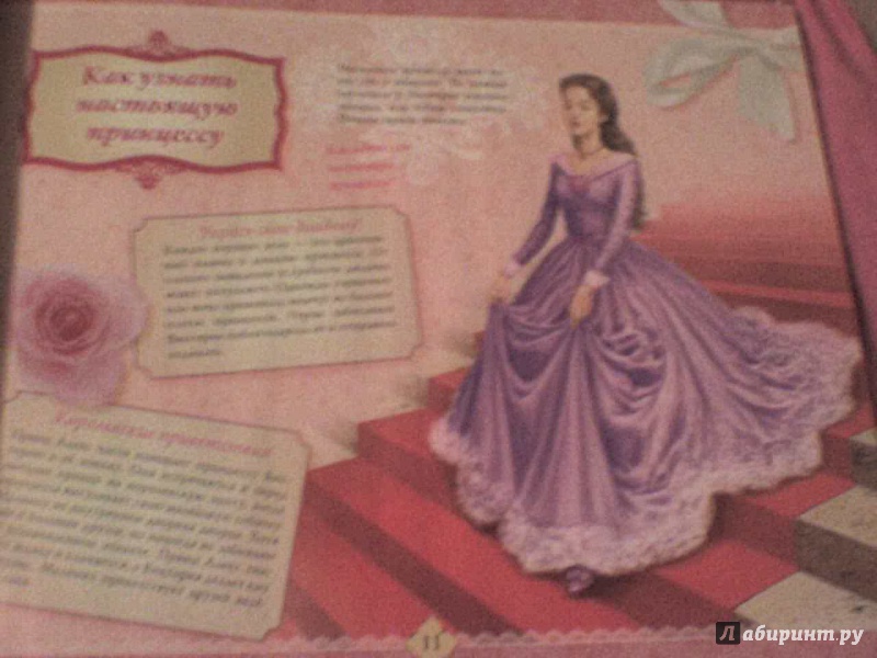 Иллюстрация 8 из 15 для Настольная книга принцессы | Лабиринт - книги. Источник: Роза с шипами