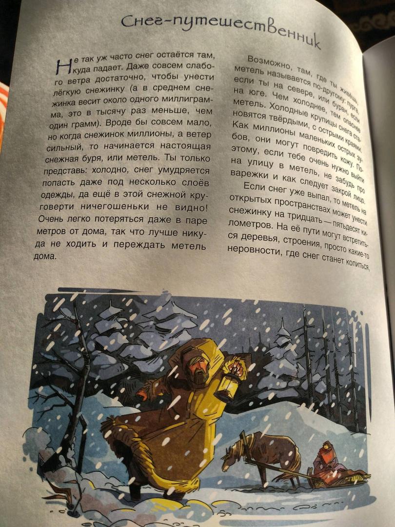 Иллюстрация 9 из 41 для История снежинки, или Чудо на рукавице - Юлия Смирнова | Лабиринт - книги. Источник: Гвоздкова  Екатерина